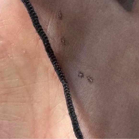 Valentino Intimo Slip - Picture 8 of 8